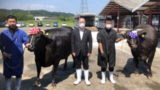 06e8d1f1fe825a3daeaa0e1e4d191f